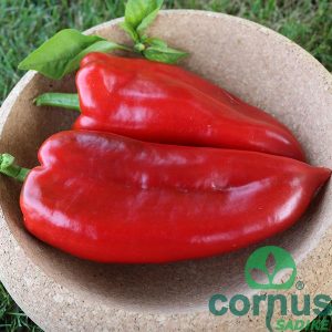 Paprika-Kaptur-F1