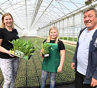 Sadike Cornus - druzina Belec Sadike Cornus - druzina Belec