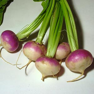 Repa