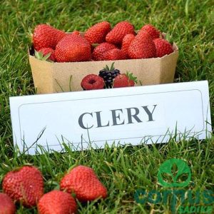 Clery (jednorodne) [P10]